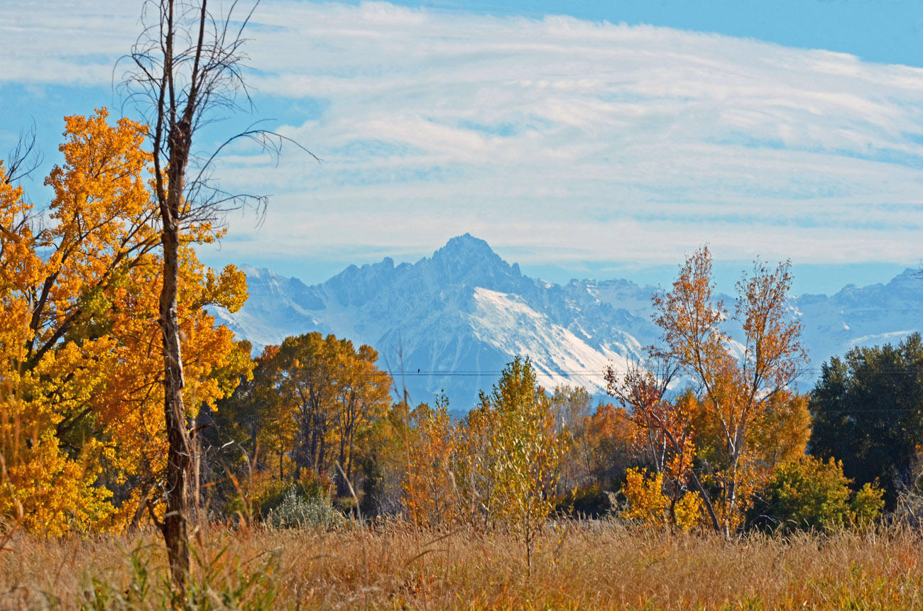 66371 Riverside Road Montrose, CO 81403 - Photo 1 of 36 Riverside