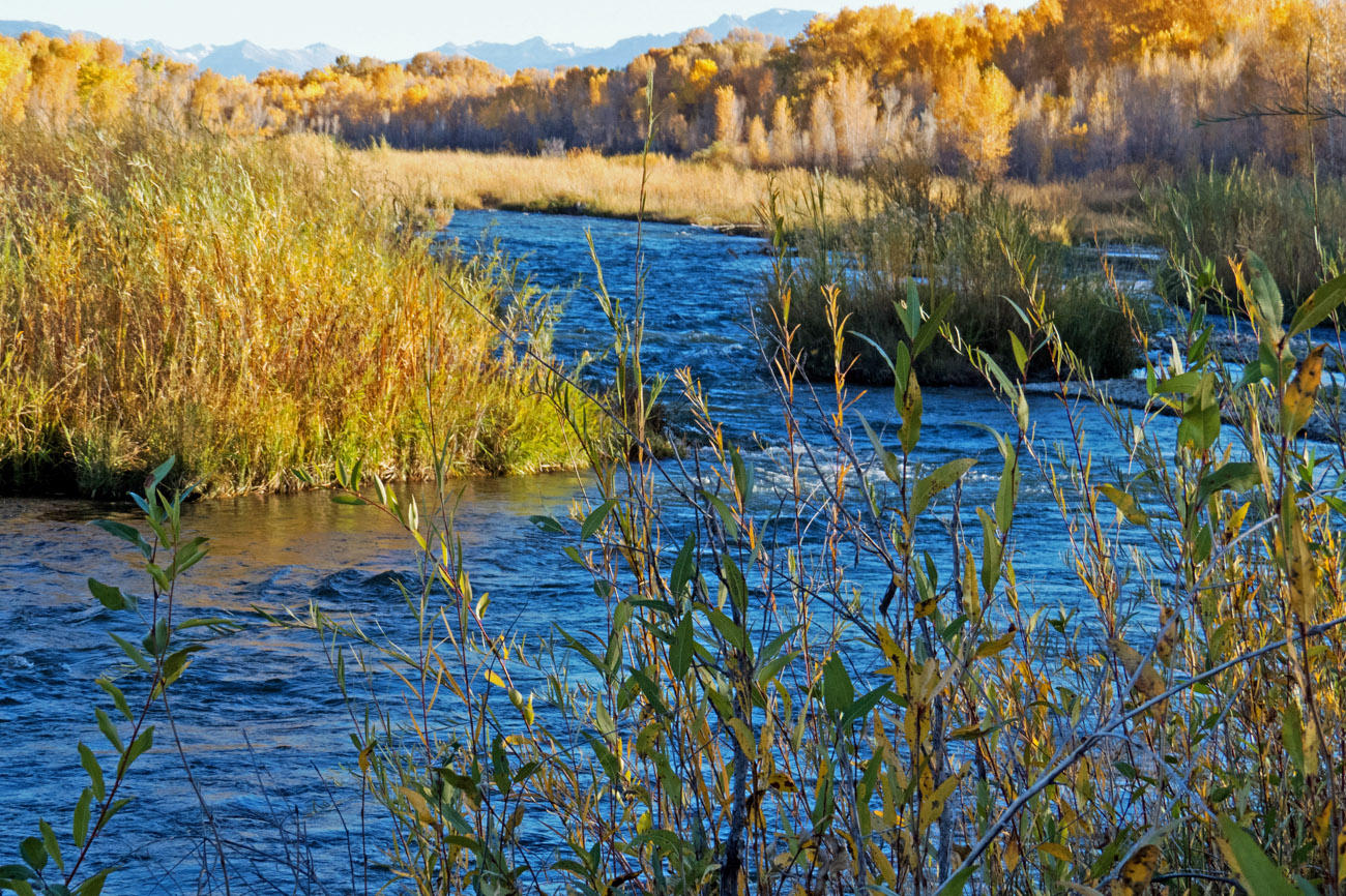 66371 Riverside Road Montrose, CO 81403 - Photo 19 of 36 10 15 16_Fall etc 2016_8066_e6