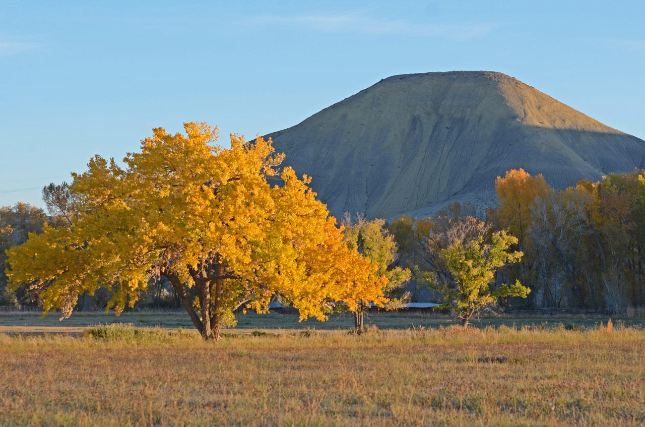 66371 Riverside Road Montrose, CO 81403 - Photo 2 of 36 DSC_3538_846