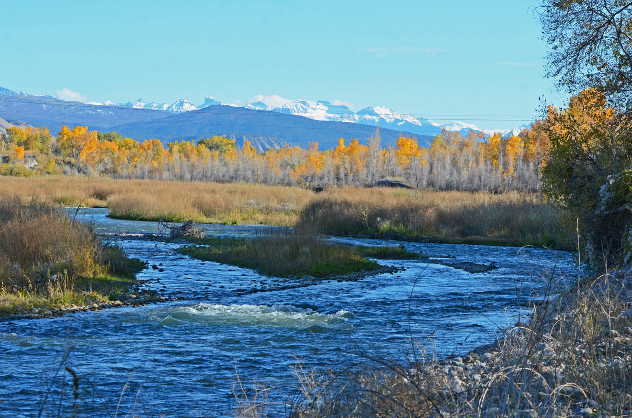 66371 Riverside Road Montrose, CO 81403 - Photo 34 of 36 DSC_3402_759