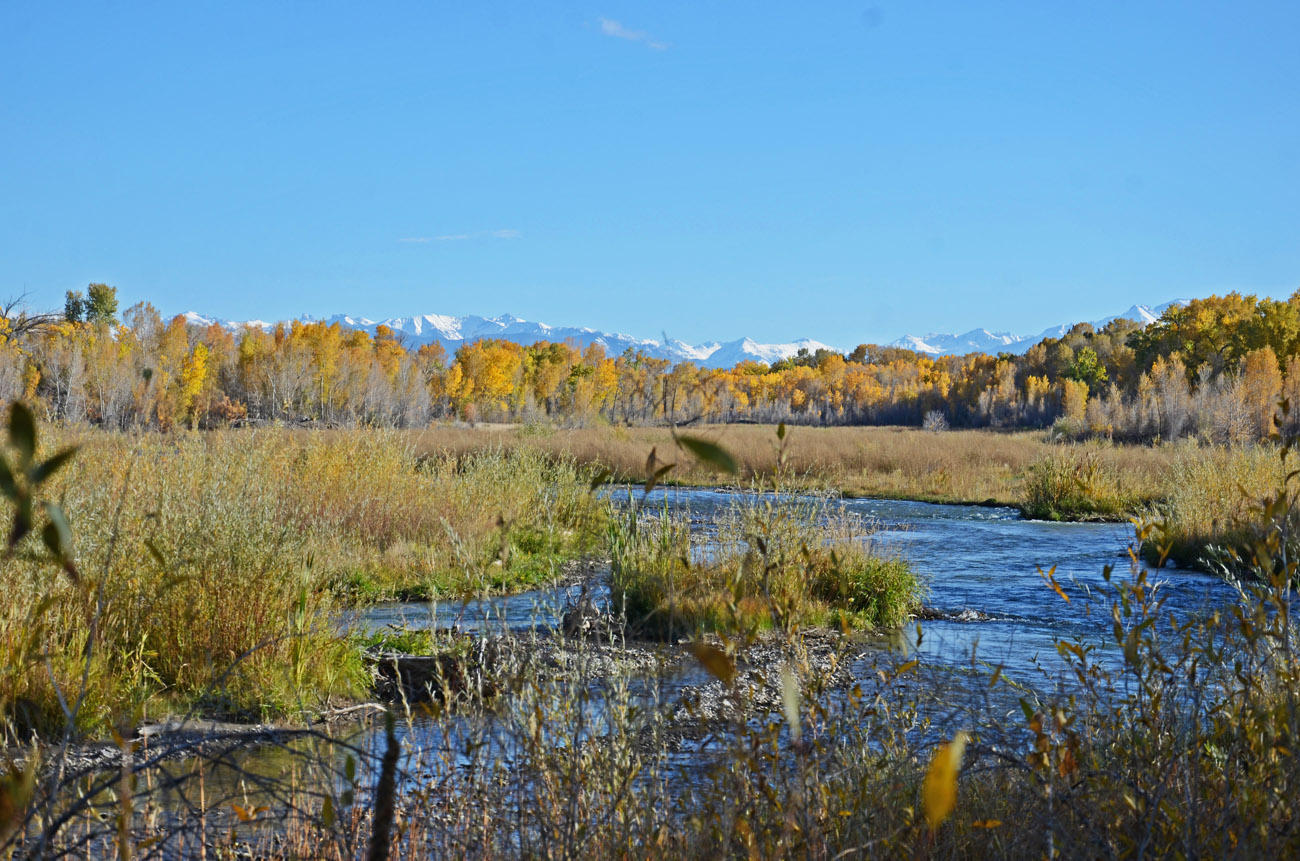 66371 Riverside Road Montrose, CO 81403 - Photo 36 of 36 DSC_3421_771