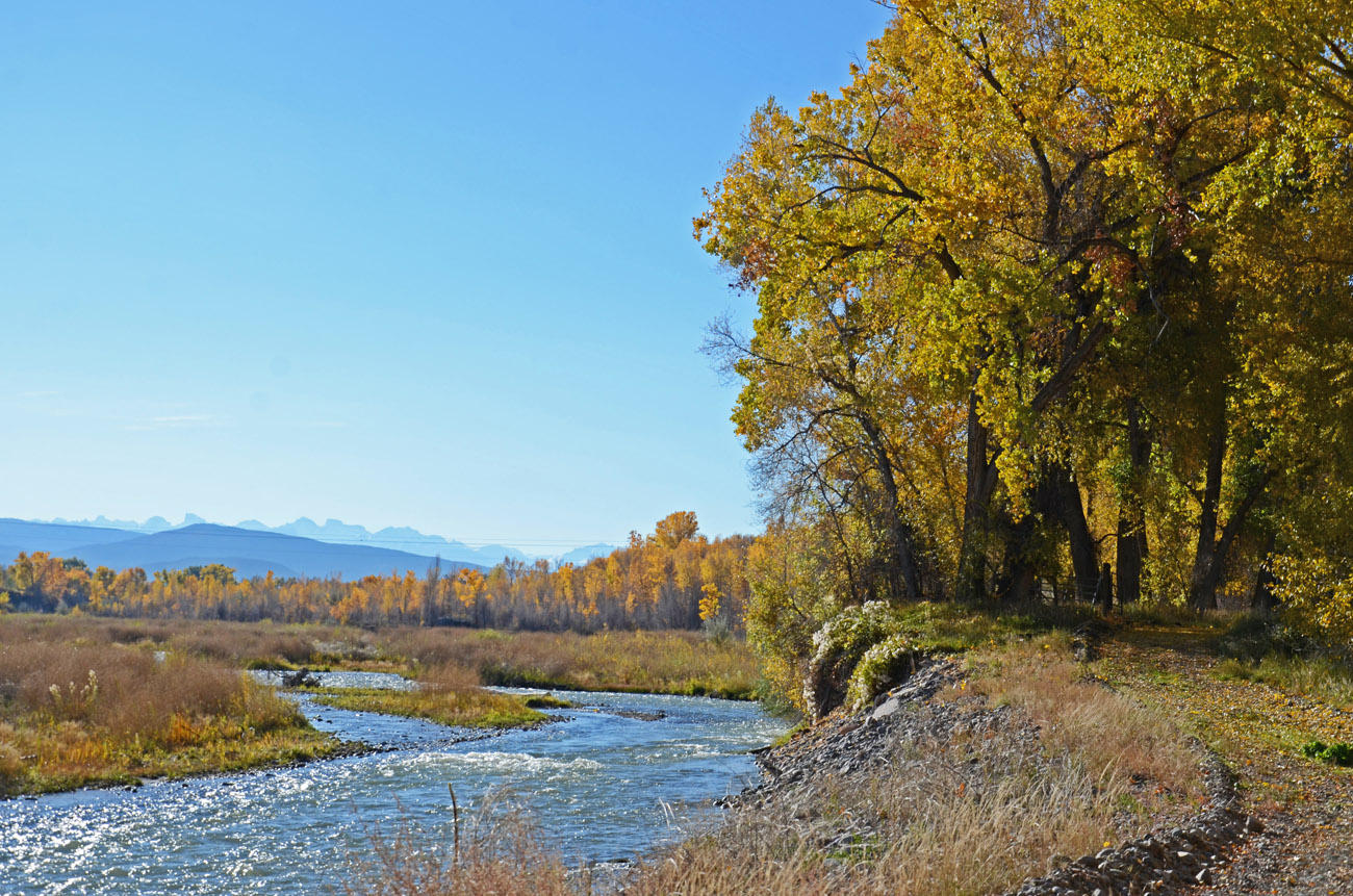 66371 Riverside Road Montrose, CO 81403 - Photo 4 of 36 DSC_3692_910