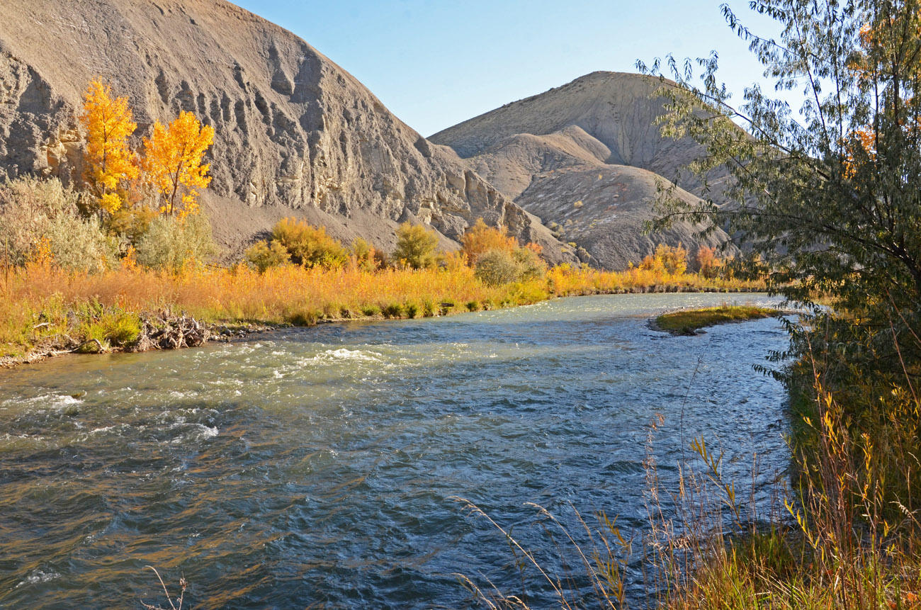 66371 Riverside Road Montrose, CO 81403 - Photo 6 of 36 DSC_3745_942