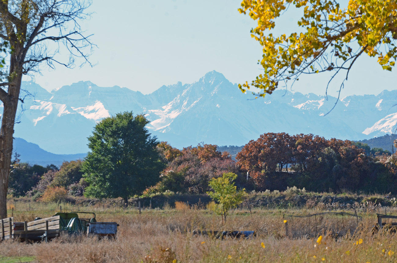 66371 Riverside Road Montrose, CO 81403 - Photo 7 of 36 DSC_3761_951