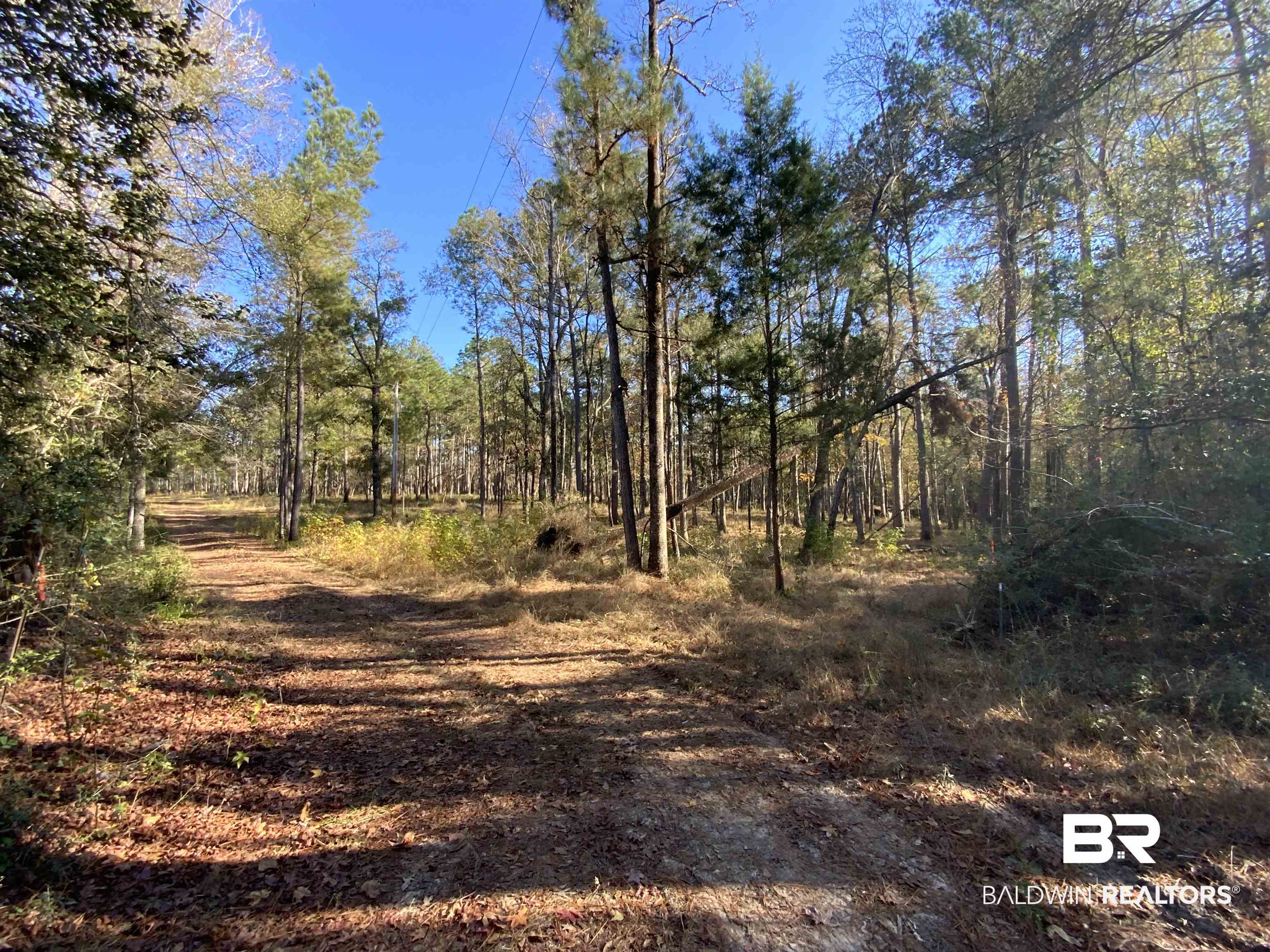 10 Drinkard Road Bay Minette, AL 36507 - Photo 2 of 16 View of yard featuring a wooded view