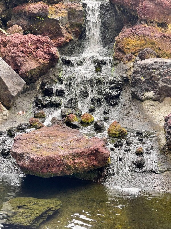101 Aupuni Street, Unit 119 Hilo, HI 96720 - Photo 2 of 23 Beautiful calming waterfall right across