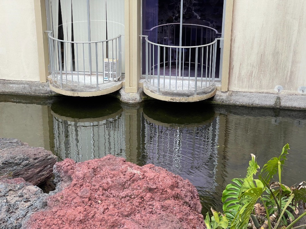 101 Aupuni Street, Unit 119 Hilo, HI 96720 - Photo 18 of 23 view from outside across of the waterfall.