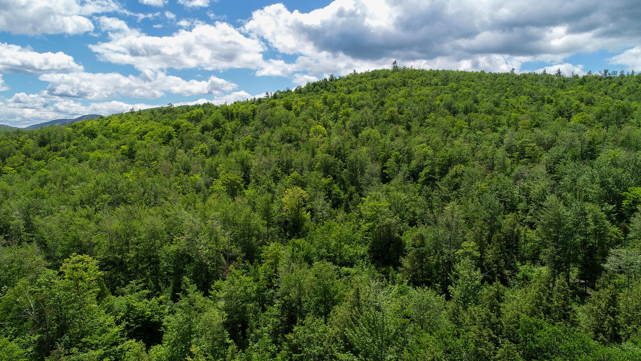 203 Map Rumford, ME 04276 - Photo 3 of 6
