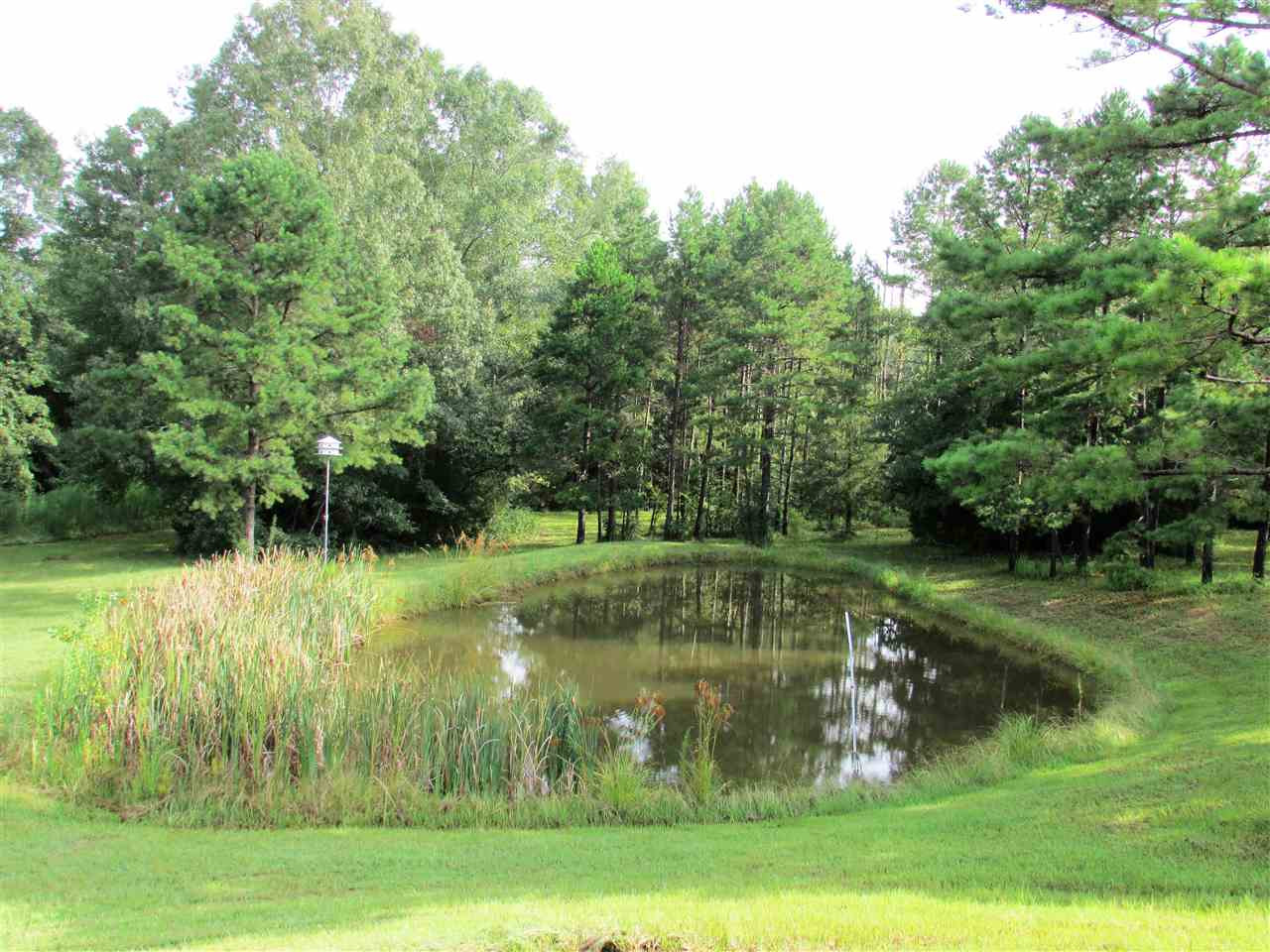 1096 Johnson Road Crystal Springs, MS 39059 - Photo 17 of 50 Photo 17