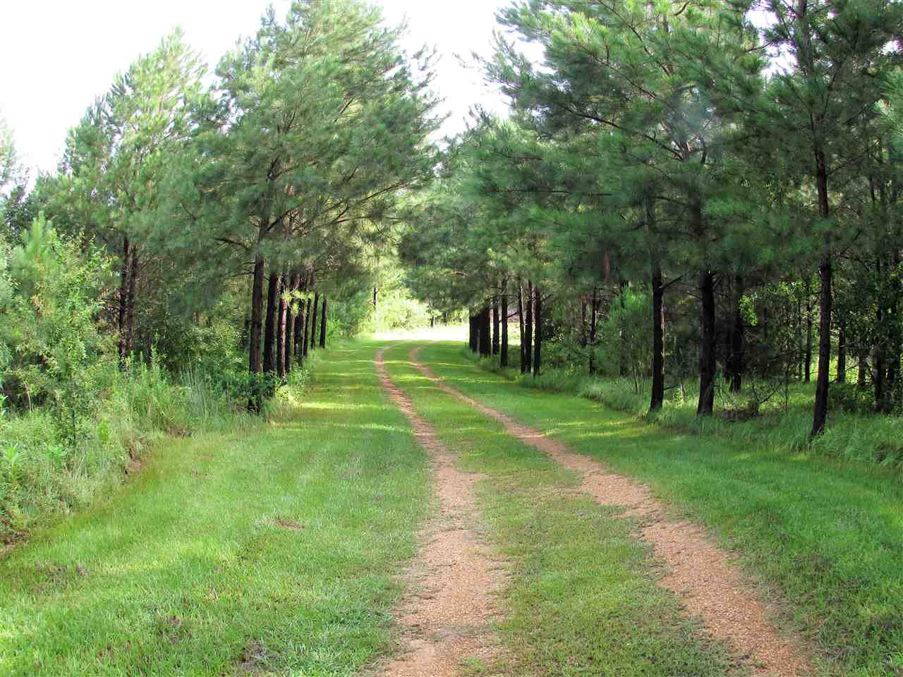 1096 Johnson Road Crystal Springs, MS 39059 - Photo 18 of 50 Photo 18