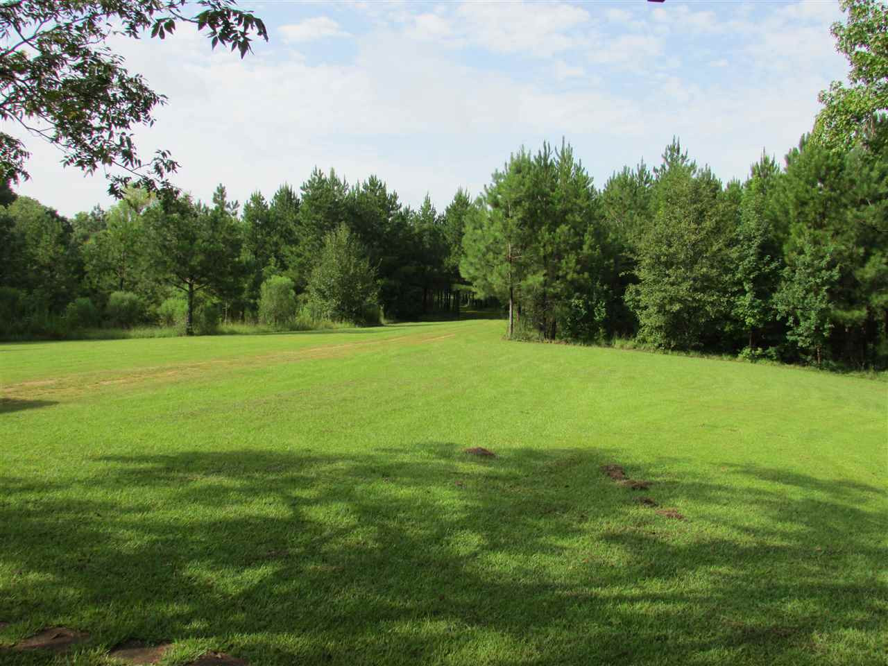 1096 Johnson Road Crystal Springs, MS 39059 - Photo 19 of 50 Photo 19