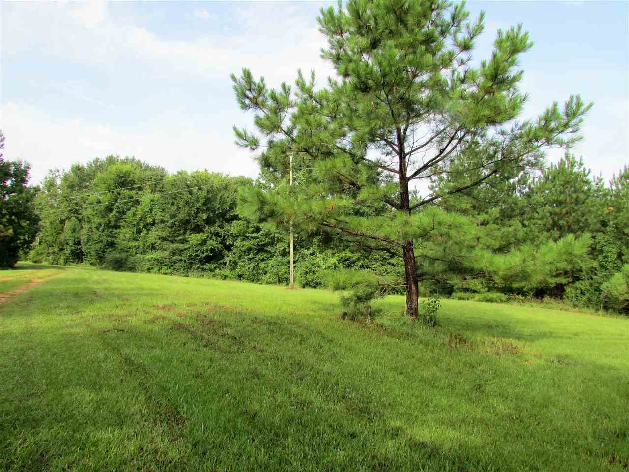 1096 Johnson Road Crystal Springs, MS 39059 - Photo 6 of 50 Photo 6