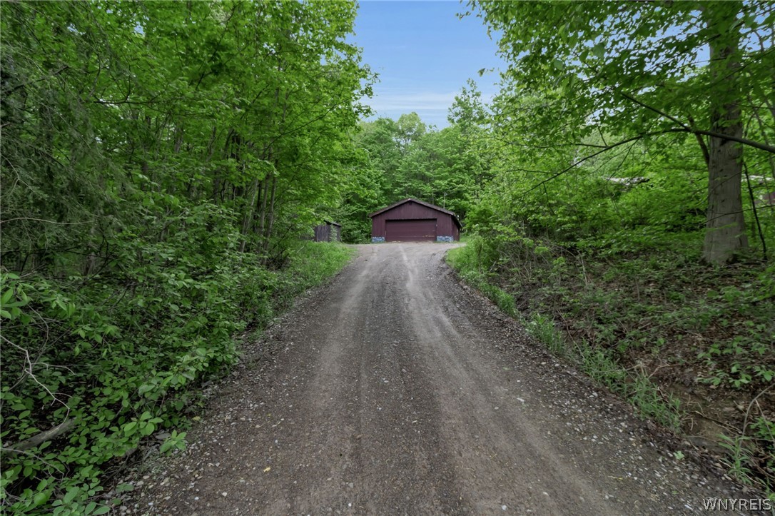 10588 Edies Road Springville, NY 14141 - Photo 5 of 49