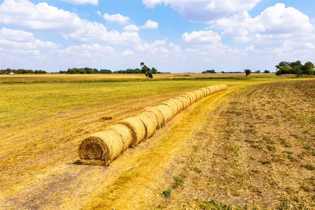 a view of an ocean and beach