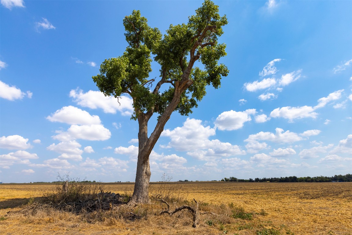0 Fm 1660 Taylor, TX 76574 - Photo 20 of 21 TBD CR 485 (272.616 Acres), Taylor, TX 76574