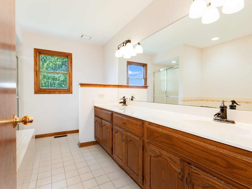 21322 Georgetown Road Frankfort, IL 60423 - Photo 15 of 28 a spacious bathroom with a sink double vanity and a mirror