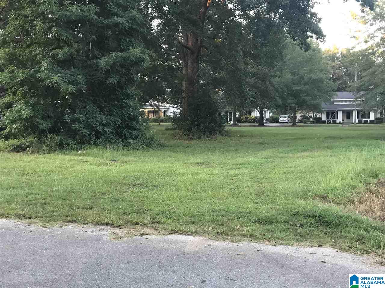 0 8th Street, Unit 1 Clanton, AL 35045 - Photo 3 of 5