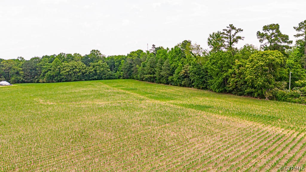 0 Waverly Road Reedville, VA 22539 - Photo 8 of 11 Gallery Image 8
