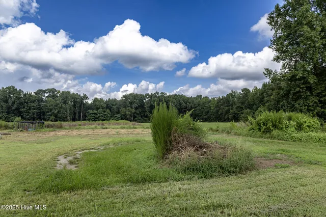 $215,000 | 63 Newton Road, Red Springs, NC 28377