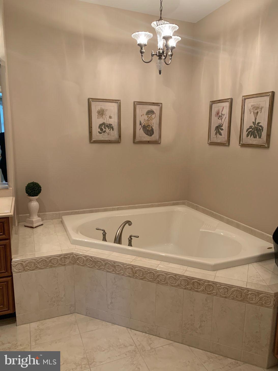 31 Sloan Road West Chester, PA 19382 - Photo 16 of 48 Master Bath