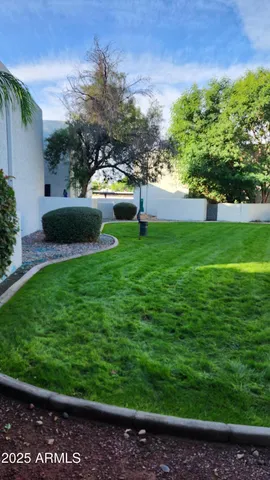 a view of yard with green space