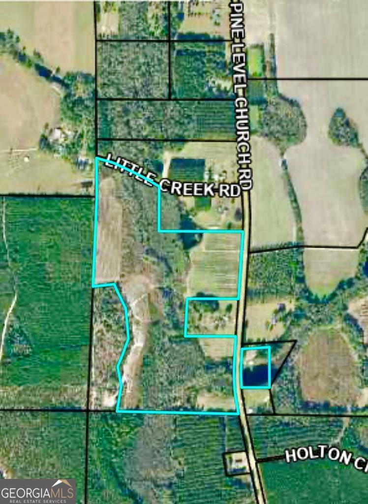 0 Pine Level Church Road Hazlehurst, GA 31539 - Photo 1 of 1 Main View