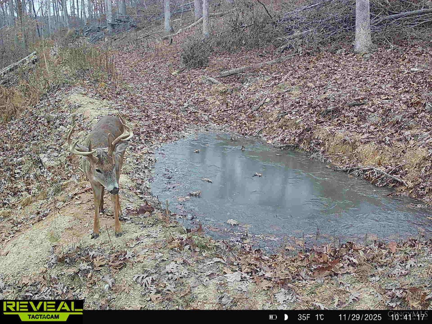 Ac Beech Fork Road Peebles, OH 45660 - Photo 34 of 49