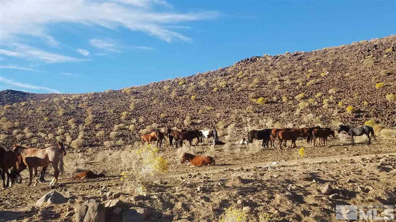7505 Rough Rock Drive Reno, NV 89502 - Photo 27 of 30 Photo 27