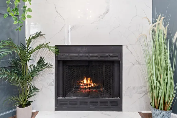 a room with a fireplace and a potted plant