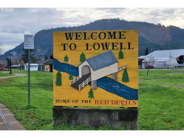 a view of a park with large trees