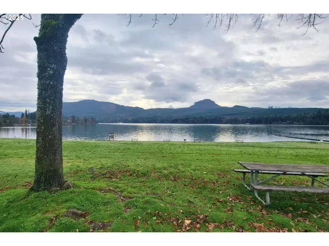 a view of a backyard with green space