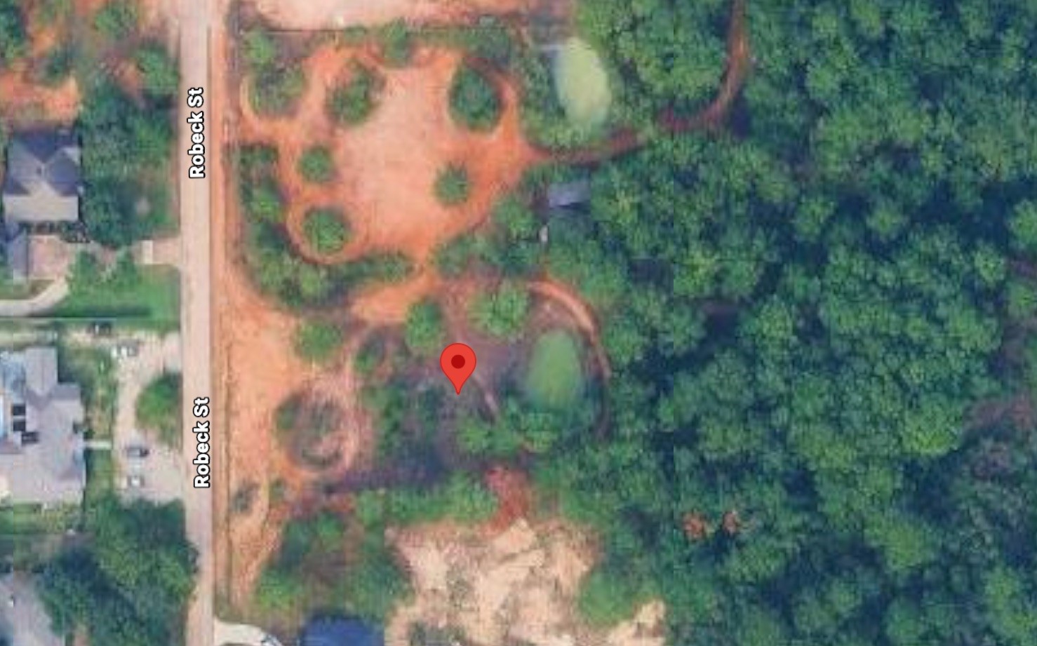 a view of flowers in the background