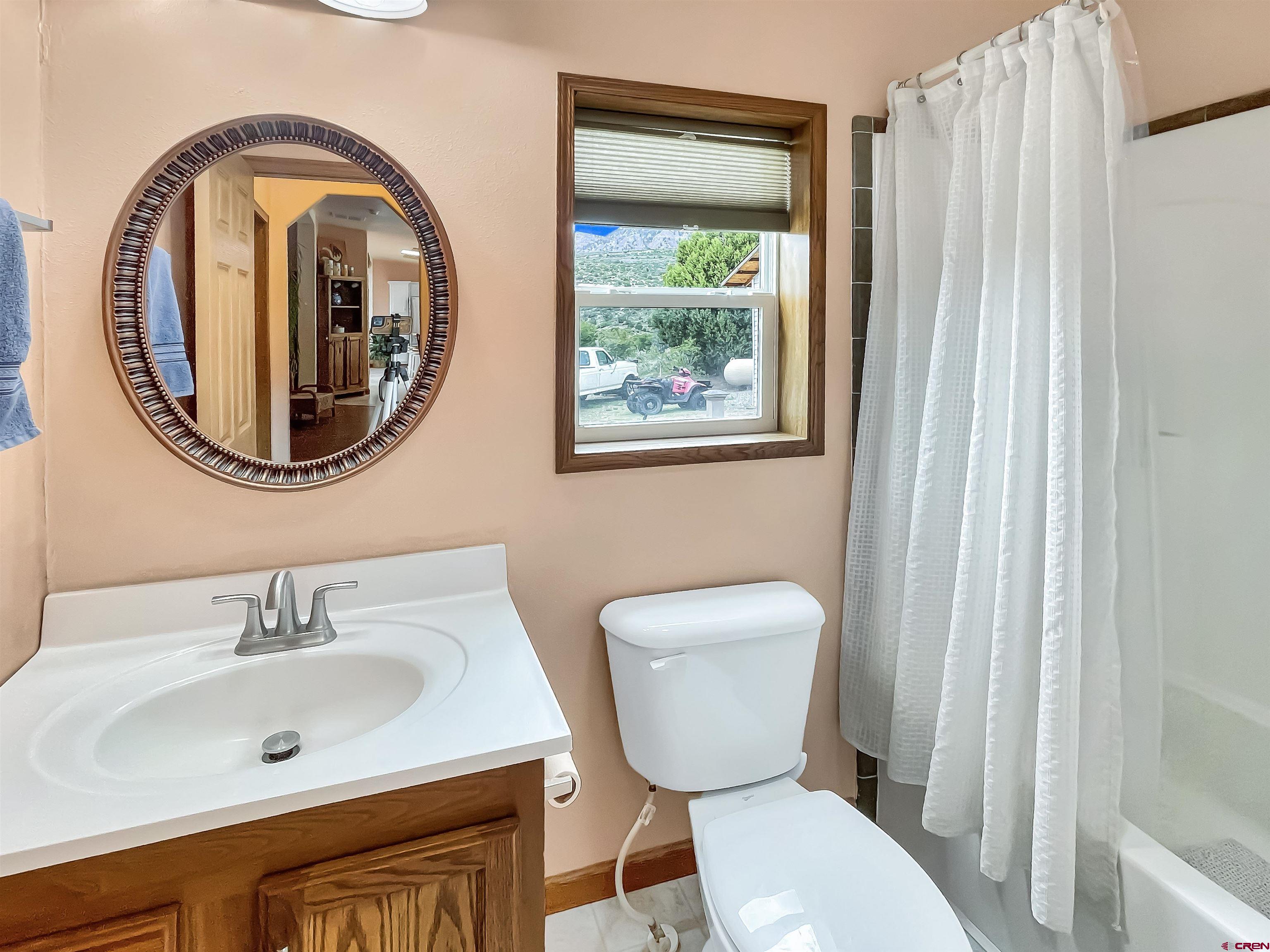 43396 Long Gulch Road Crawford, CO 81415 - Photo 25 of 35 a bathroom with a toilet a sink and a mirror