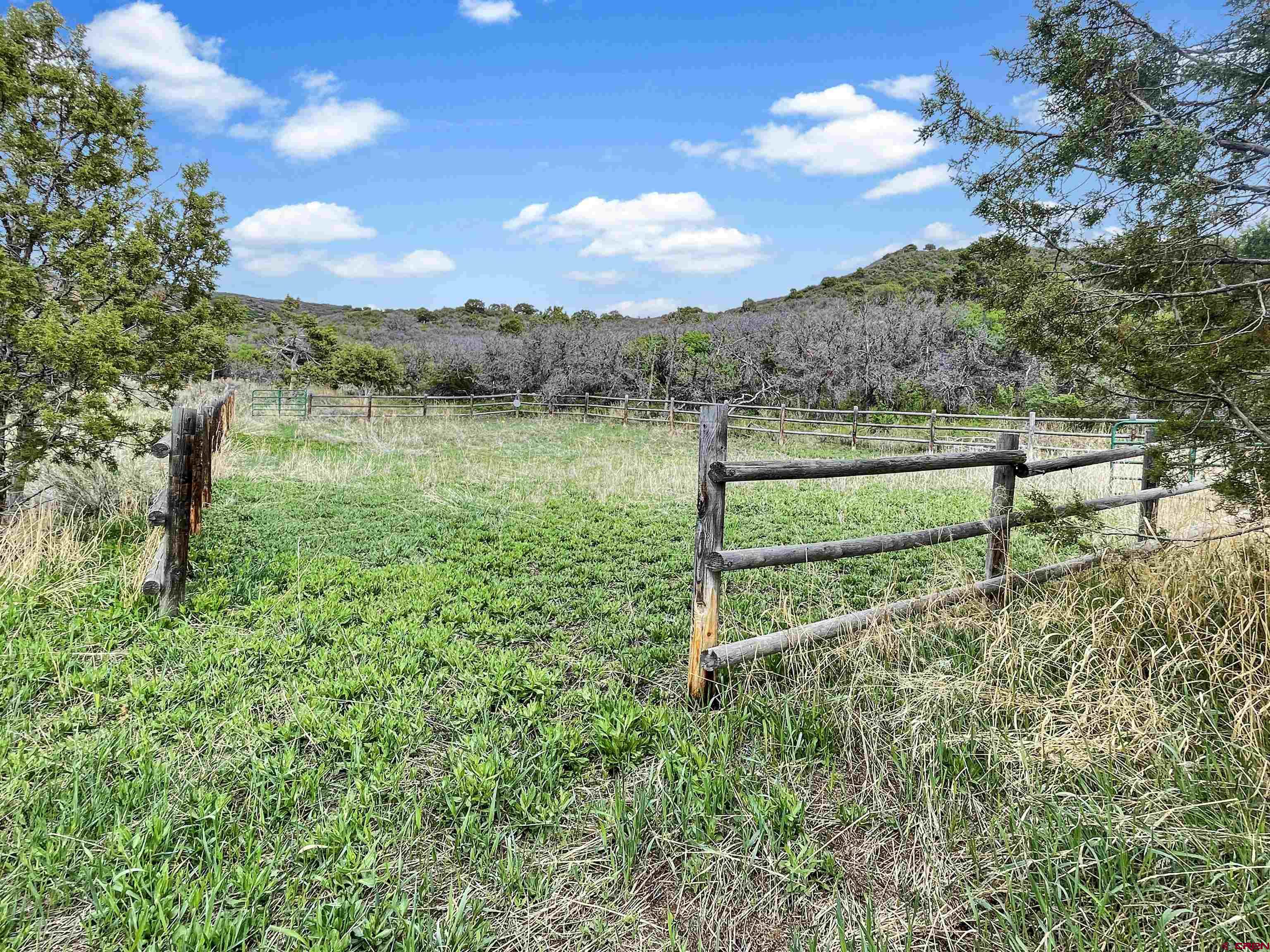 43396 Long Gulch Road Crawford, CO 81415 - Photo 34 of 35 a view of a garden with an tree