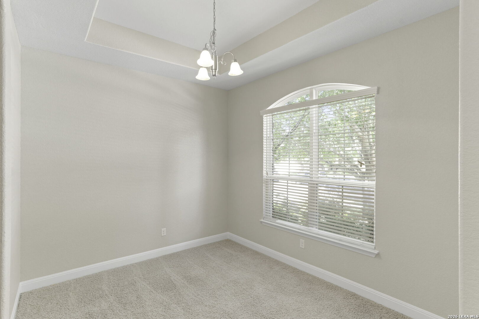 233 Flint Road Cibolo, TX 78108 - Photo 8 of 14