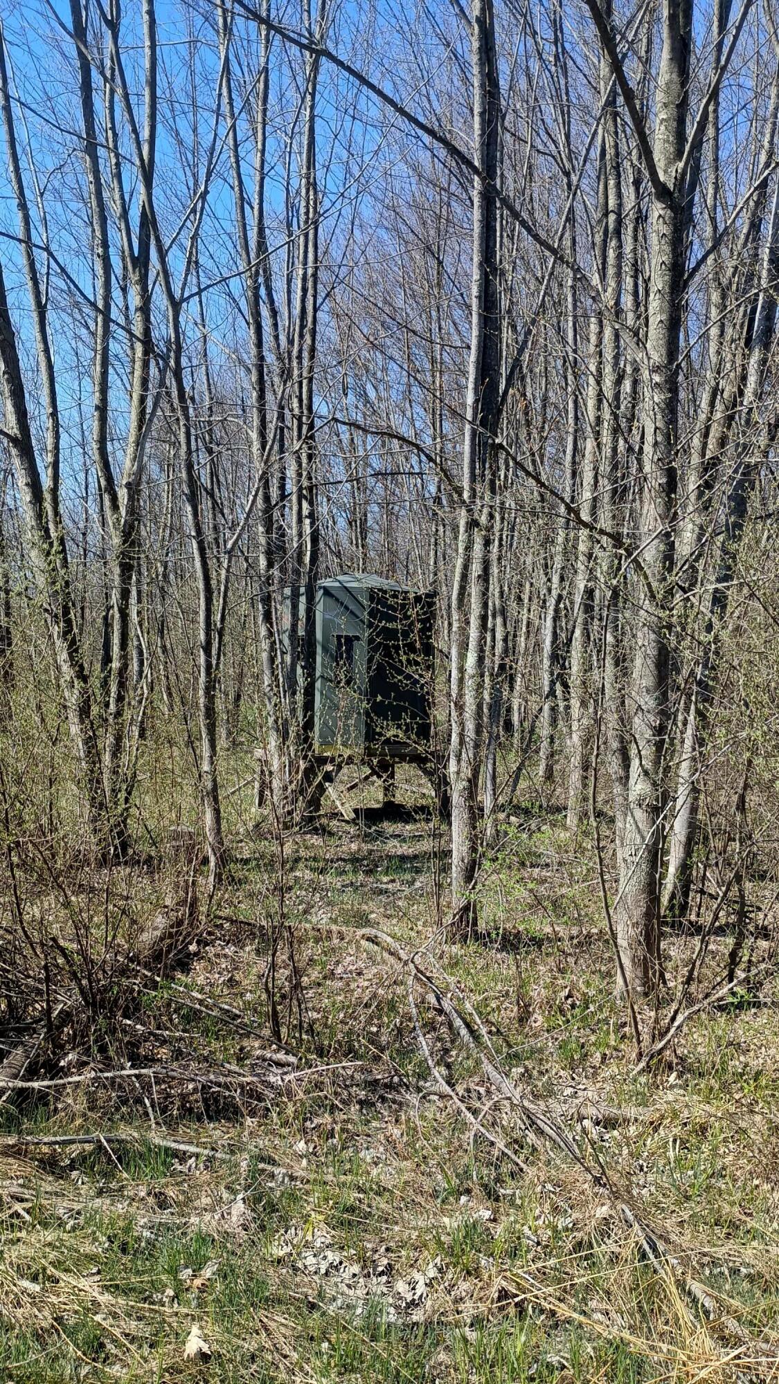 3607 East Hansen Road Custer, MI 49405 - Photo 41 of 80 IMG_20260422_112238263_HDR