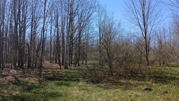 $1,000,000 | 3607 East Hansen Road, Custer, MI 49405