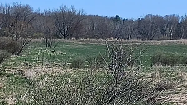 $1,000,000 | 3607 East Hansen Road, Custer, MI 49405