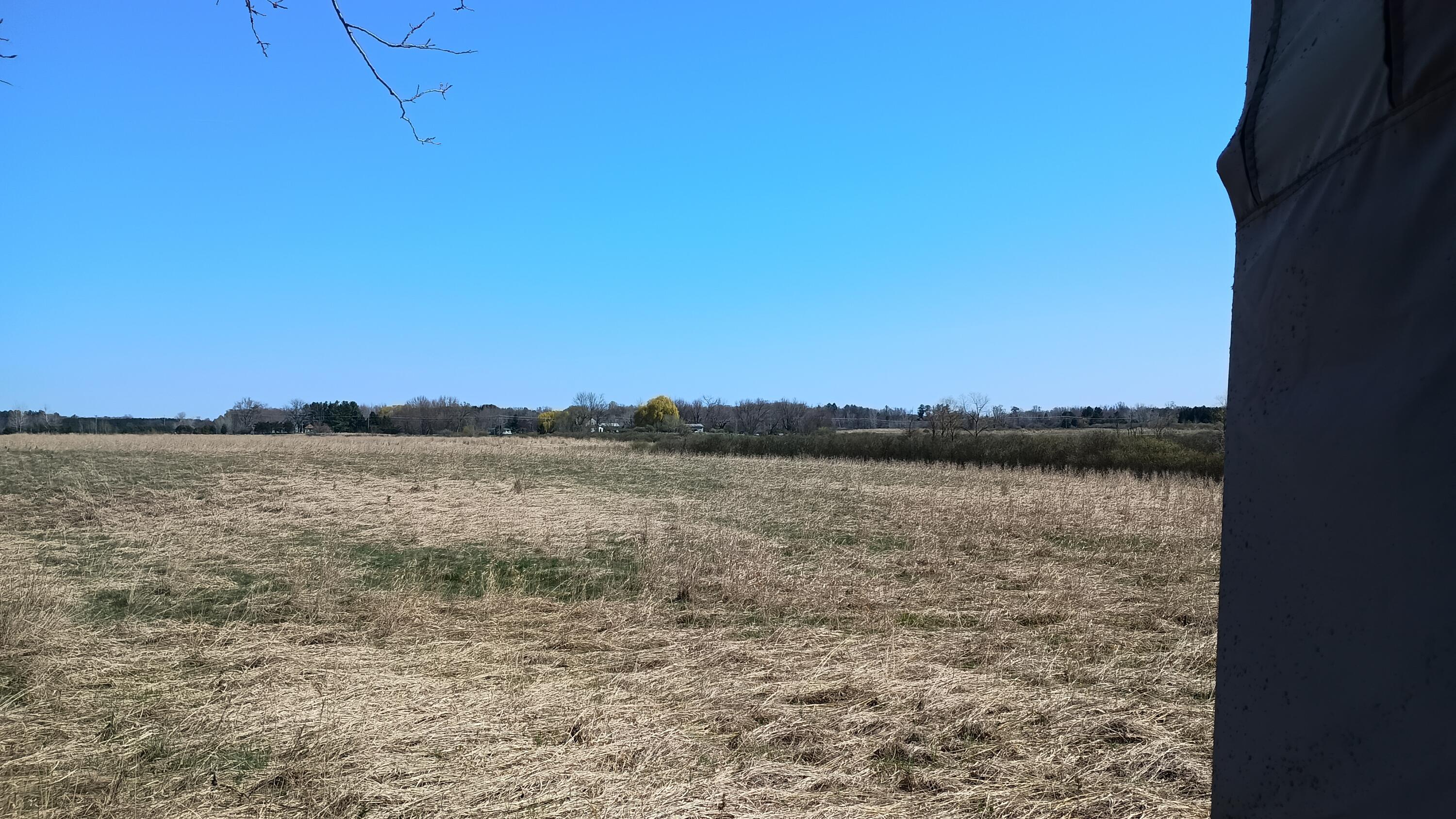 3607 East Hansen Road Custer, MI 49405 - Photo 68 of 80 IMG_20260422_110943733