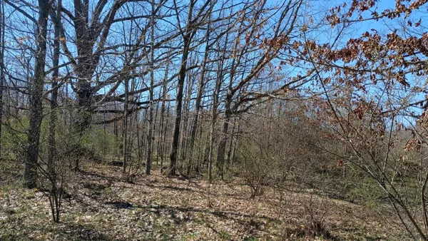 $1,000,000 | 3607 East Hansen Road, Custer, MI 49405