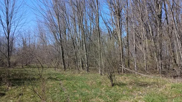 $1,000,000 | 3607 East Hansen Road, Custer, MI 49405
