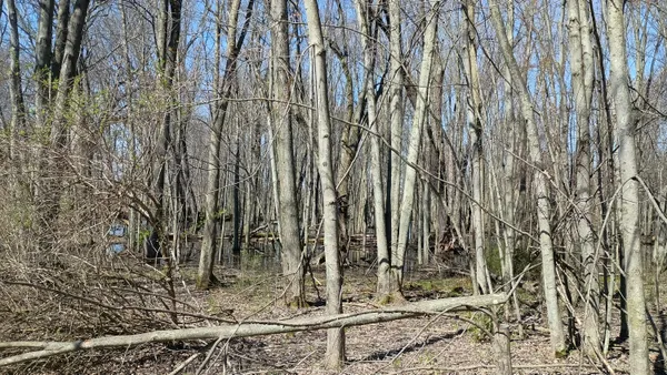 $1,000,000 | 3607 East Hansen Road, Custer, MI 49405