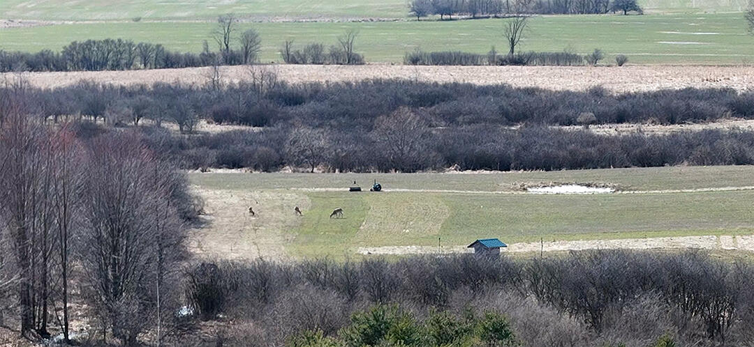 3607 East Hansen Road Custer, MI 49405 - Photo 9 of 80 aerial deer in distance