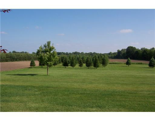 44387 Hull Road Belleville, MI 48111 - Photo 8 of 10 Photo 8