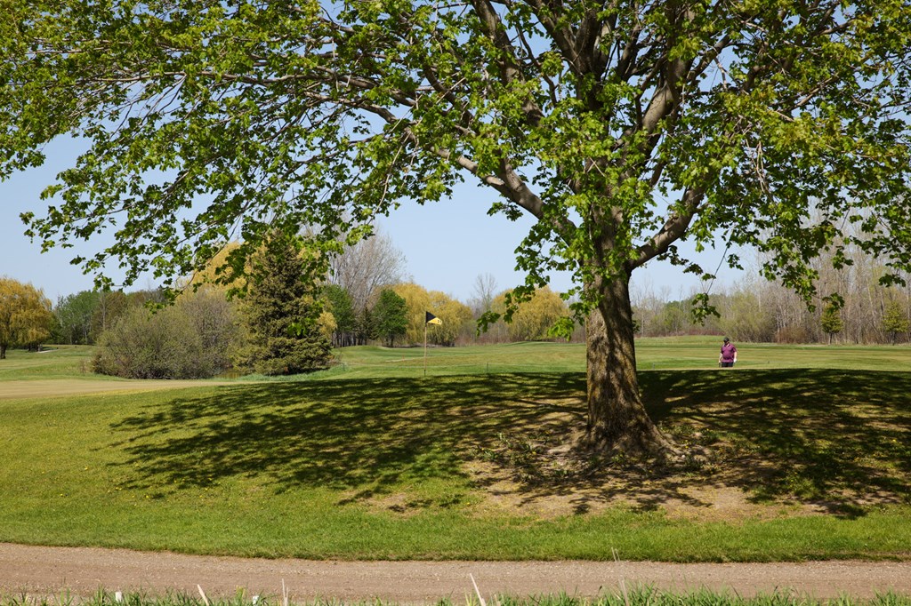 Lot 8 Golf View Road Sturgeon Bay, WI 54235 - Photo 8 of 38