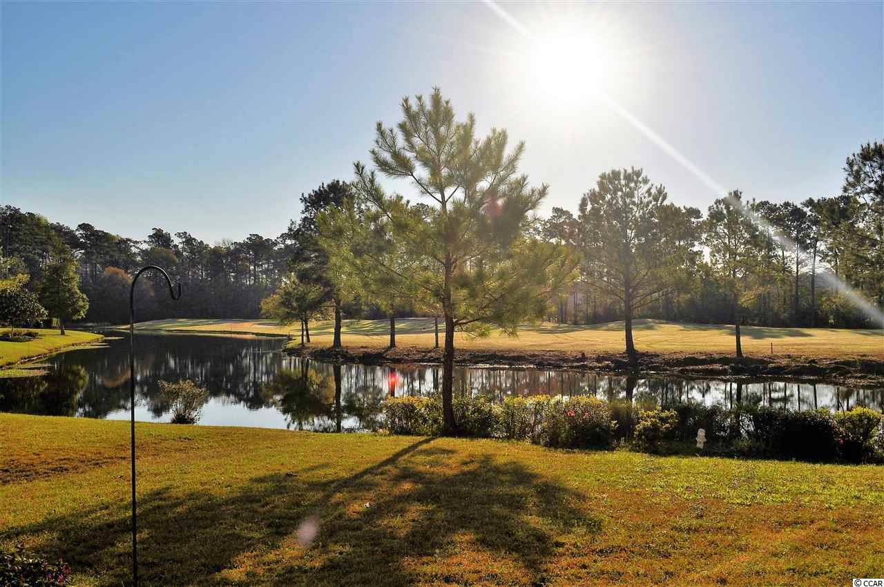 862 Castlebridge Drive Murrells Inlet, SC 29576 - Photo 19 of 25 Gallery Image 19