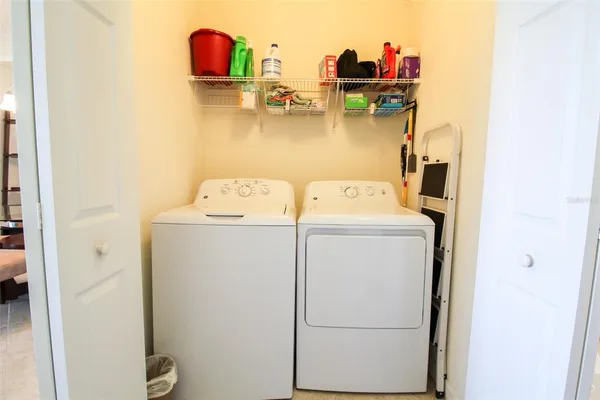 a view of a park with palm trees