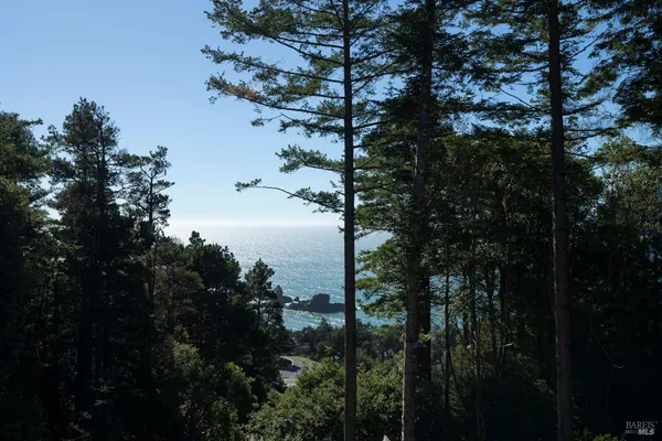 a view of outdoor space and a yard