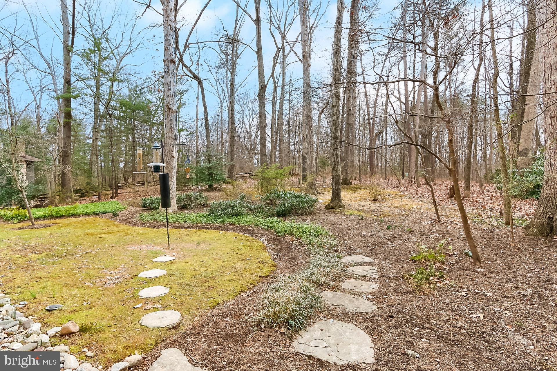 10905 Thanlet Lane Reston, VA 20190 - Photo 25 of 30