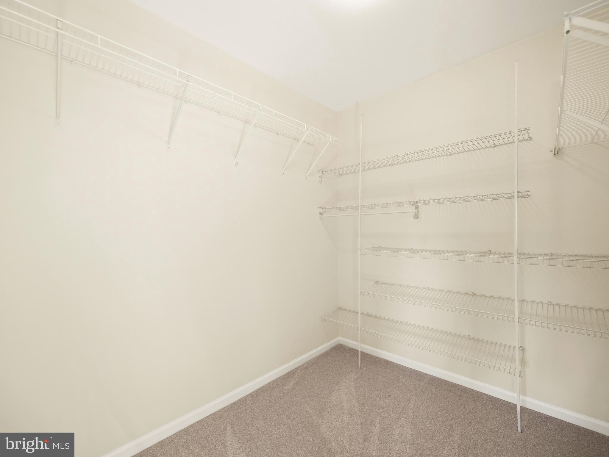 197 Triumphant Way Falling Waters, WV 25419 - Photo 25 of 58 Primary Bedroom Walk-in Closet